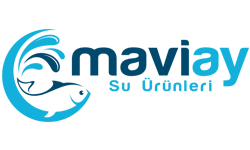 Maviay Group